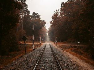 Preview wallpaper railroad, rails, autumn, trees