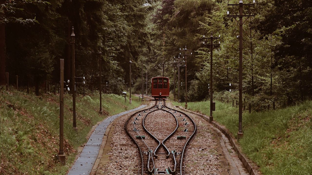 Wallpaper railroad, rails, train, trees, nature