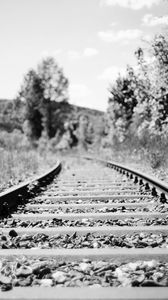 Preview wallpaper railroad, rails, trees, grass, bw