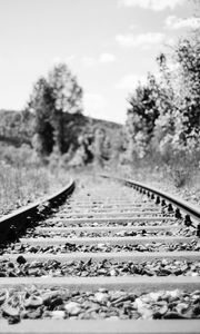 Preview wallpaper railroad, rails, trees, grass, bw