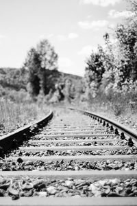 Preview wallpaper railroad, rails, trees, grass, bw