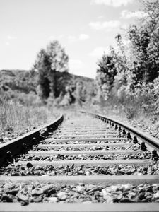 Preview wallpaper railroad, rails, trees, grass, bw