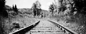 Preview wallpaper railroad, rails, trees, grass, bw