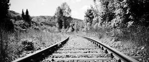 Preview wallpaper railroad, rails, trees, grass, bw