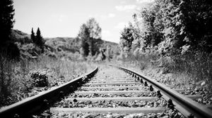 Preview wallpaper railroad, rails, trees, grass, bw