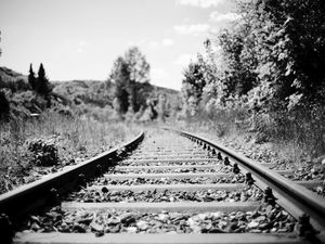 Preview wallpaper railroad, rails, trees, grass, bw