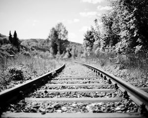 Preview wallpaper railroad, rails, trees, grass, bw