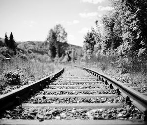 Preview wallpaper railroad, rails, trees, grass, bw