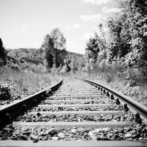 Preview wallpaper railroad, rails, trees, grass, bw