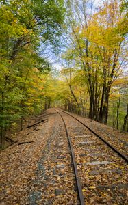 Preview wallpaper railroad, rails, trees, autumn, nature