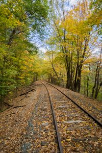 Preview wallpaper railroad, rails, trees, autumn, nature