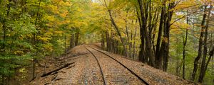 Preview wallpaper railroad, rails, trees, autumn, nature