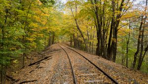 Preview wallpaper railroad, rails, trees, autumn, nature