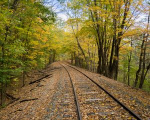 Preview wallpaper railroad, rails, trees, autumn, nature