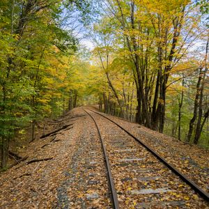 Preview wallpaper railroad, rails, trees, autumn, nature