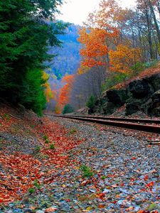 Preview wallpaper railroad, sky, grass, autumn