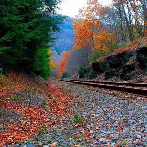 Preview wallpaper railroad, sky, grass, autumn