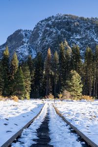 Preview wallpaper railroad, snow, glade, trees, mountains