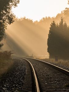 Preview wallpaper railroad, trees, fog, sunlight