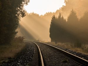 Preview wallpaper railroad, trees, fog, sunlight