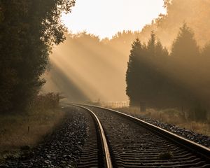 Preview wallpaper railroad, trees, fog, sunlight