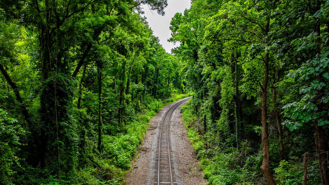 Wallpaper railroad, trees, forest