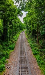 Preview wallpaper railroad, trees, forest