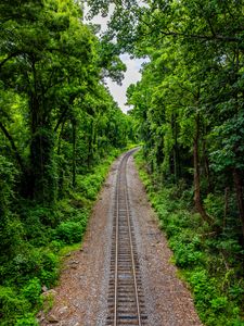 Preview wallpaper railroad, trees, forest