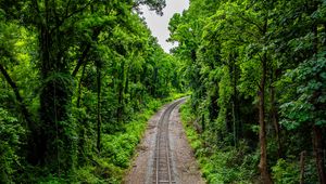 Preview wallpaper railroad, trees, forest