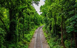 Preview wallpaper railroad, trees, forest