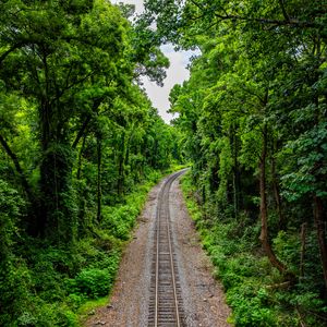 Preview wallpaper railroad, trees, forest