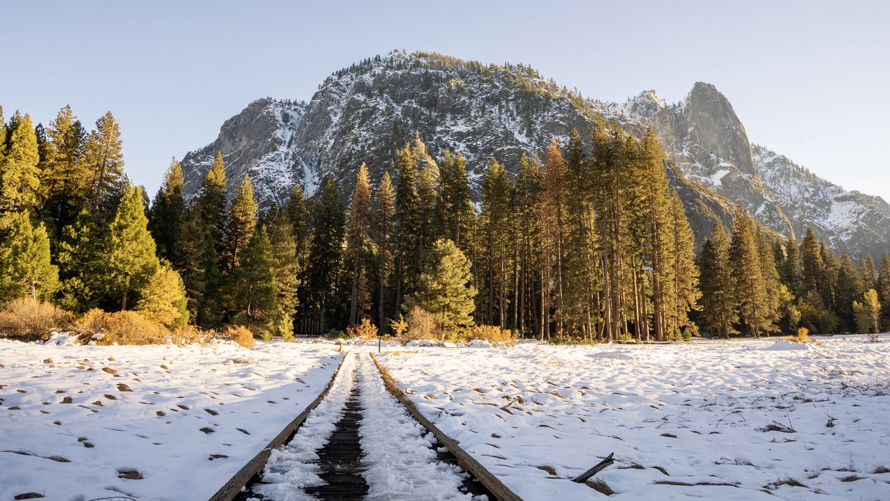 Wallpaper railroad, trees, forest, snow, winter, sunlight