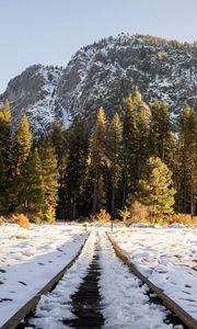 Preview wallpaper railroad, trees, forest, snow, winter, sunlight