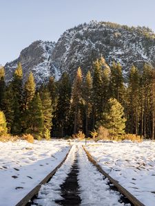 Preview wallpaper railroad, trees, forest, snow, winter, sunlight