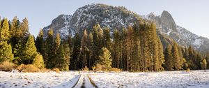 Preview wallpaper railroad, trees, forest, snow, winter, sunlight