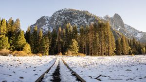 Preview wallpaper railroad, trees, forest, snow, winter, sunlight