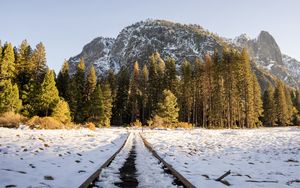 Preview wallpaper railroad, trees, forest, snow, winter, sunlight