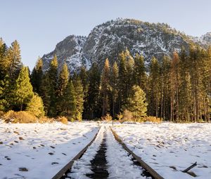 Preview wallpaper railroad, trees, forest, snow, winter, sunlight