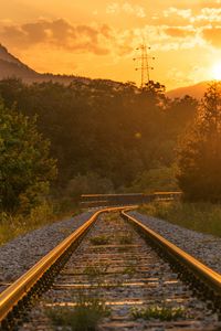 Preview wallpaper railroad, trees, sunlight, sunset