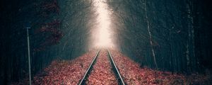 Preview wallpaper rails, forest, railway, autumn, foliage, distance