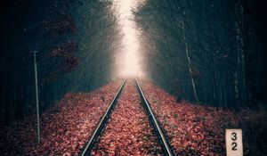 Preview wallpaper rails, forest, railway, autumn, foliage, distance