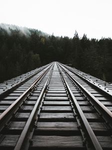 Preview wallpaper rails, railway, forest, fog, trees