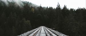 Preview wallpaper rails, railway, forest, fog, trees