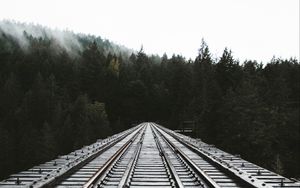 Preview wallpaper rails, railway, forest, fog, trees