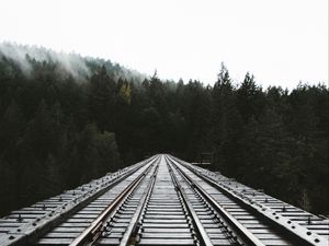 Preview wallpaper rails, railway, forest, fog, trees