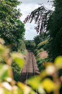 Preview wallpaper rails, railway, trees, bushes, nature