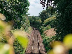 Preview wallpaper rails, railway, trees, bushes, nature