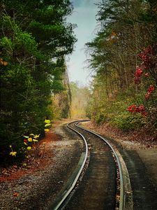 Preview wallpaper rails, railway, trees, bushes