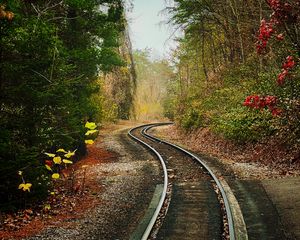 Preview wallpaper rails, railway, trees, bushes