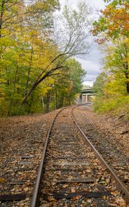 Preview wallpaper rails, road, turn, trees, autumn, landscape